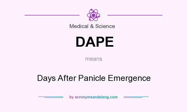What does DAPE mean? It stands for Days After Panicle Emergence