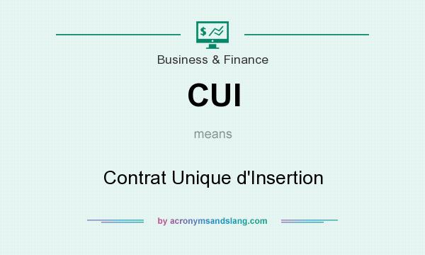What does CUI mean? It stands for Contrat Unique d`Insertion