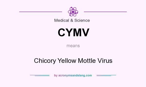 What does CYMV mean? It stands for Chicory Yellow Mottle Virus