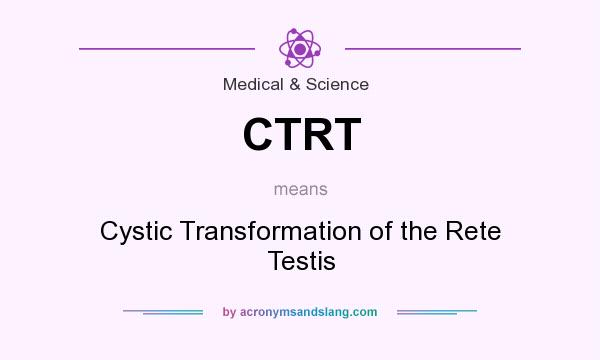 What does CTRT mean? It stands for Cystic Transformation of the Rete Testis