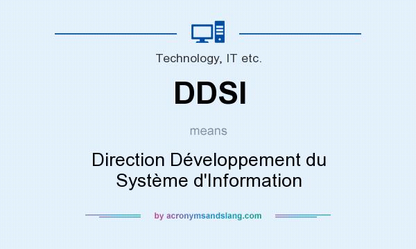 What does DDSI mean? It stands for Direction Développement du Système d`Information