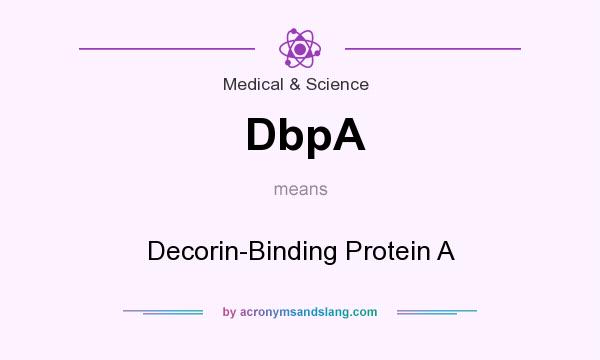 What does DbpA mean? It stands for Decorin-Binding Protein A
