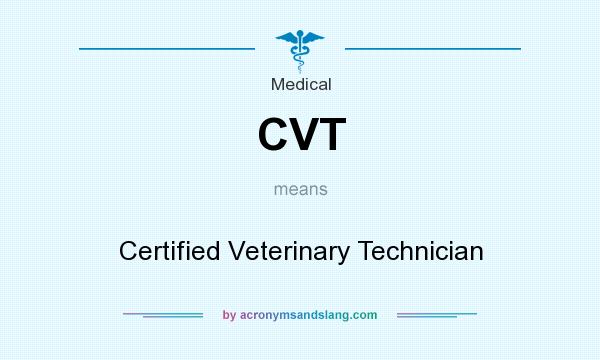 What does CVT mean? It stands for Certified Veterinary Technician