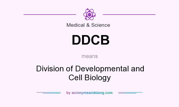 What does DDCB mean? It stands for Division of Developmental and Cell Biology