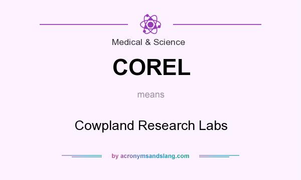 What does COREL mean? It stands for Cowpland Research Labs