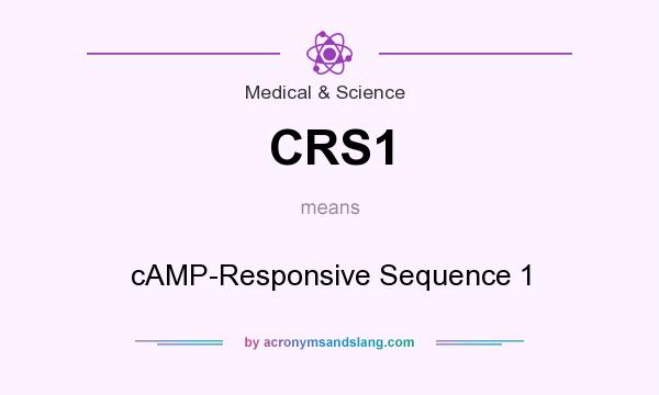 What does CRS1 mean? It stands for cAMP-Responsive Sequence 1