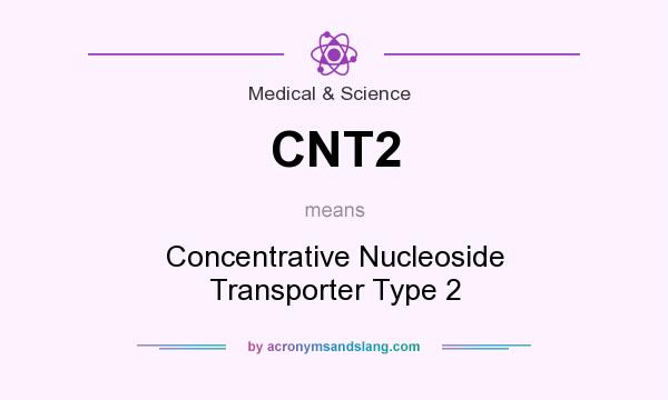 What does CNT2 mean? It stands for Concentrative Nucleoside Transporter Type 2