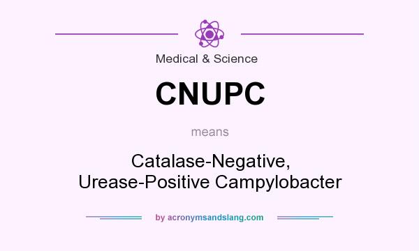 What does CNUPC mean? It stands for Catalase-Negative, Urease-Positive Campylobacter