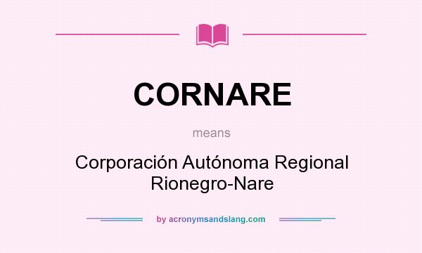 What does CORNARE mean? It stands for Corporación Autónoma Regional Rionegro-Nare