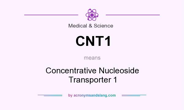 What does CNT1 mean? It stands for Concentrative Nucleoside Transporter 1