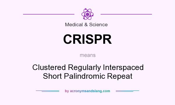 What does CRISPR mean? It stands for Clustered Regularly Interspaced Short Palindromic Repeat