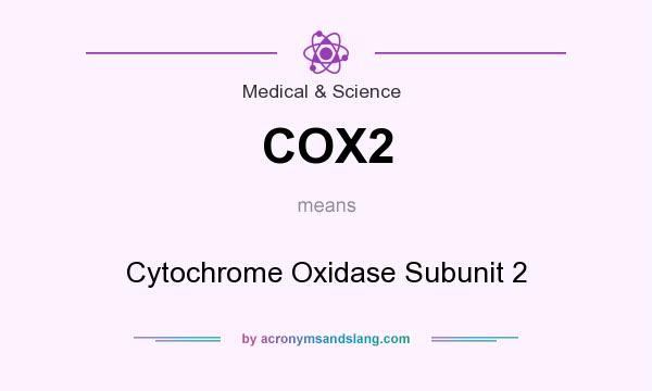What does COX2 mean? It stands for Cytochrome Oxidase Subunit 2
