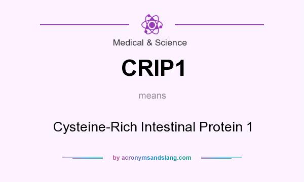 What does CRIP1 mean? It stands for Cysteine-Rich Intestinal Protein 1