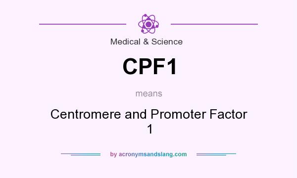 What does CPF1 mean? It stands for Centromere and Promoter Factor 1