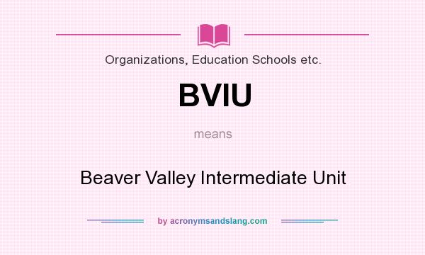 What does BVIU mean? It stands for Beaver Valley Intermediate Unit