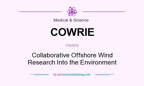 What does COWRIE mean? It stands for Collaborative Offshore Wind Research Into the Environment
