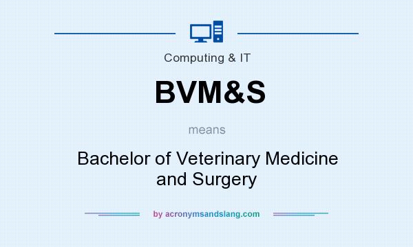 What does BVM&S mean? It stands for Bachelor of Veterinary Medicine and Surgery