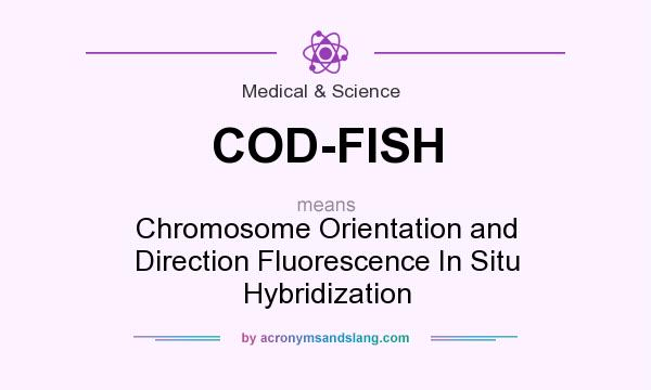 What does COD-FISH mean? It stands for Chromosome Orientation and Direction Fluorescence In Situ Hybridization