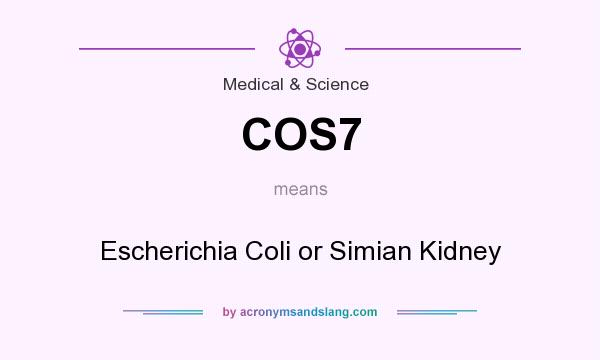 What does COS7 mean? It stands for Escherichia Coli or Simian Kidney