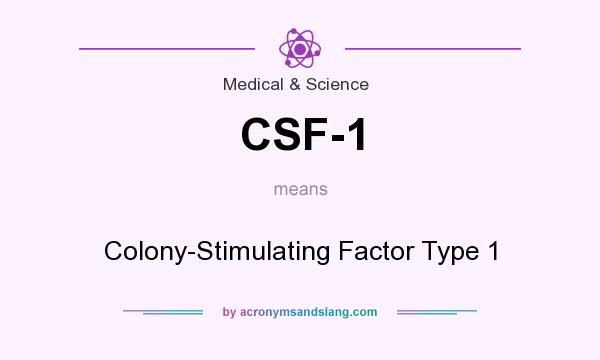 What does CSF-1 mean? It stands for Colony-Stimulating Factor Type 1