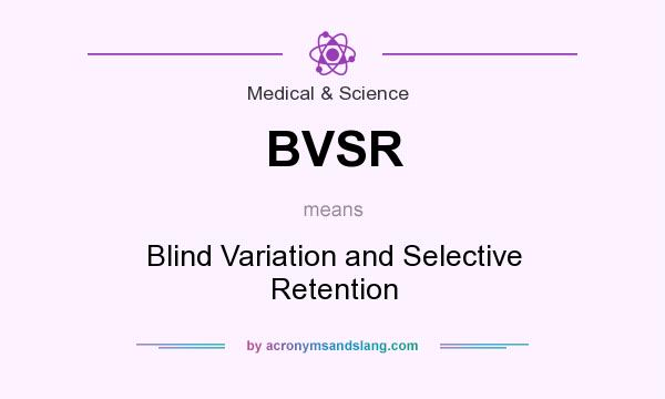What does BVSR mean? It stands for Blind Variation and Selective Retention