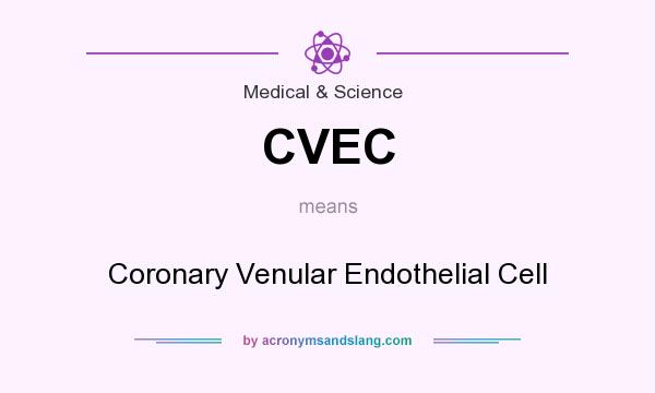 What does CVEC mean? It stands for Coronary Venular Endothelial Cell
