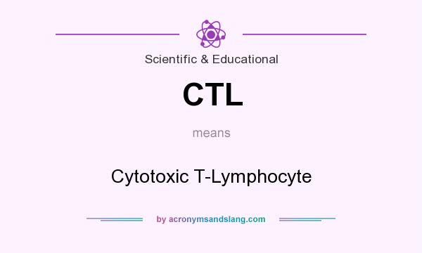 What does CTL mean? It stands for Cytotoxic T-Lymphocyte