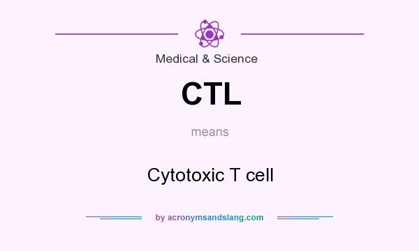 What does CTL mean? It stands for Cytotoxic T cell