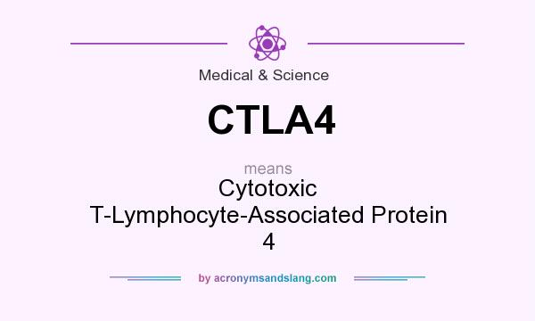 What does CTLA4 mean? It stands for Cytotoxic T-Lymphocyte-Associated Protein 4