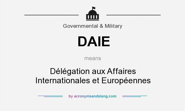 What does DAIE mean? It stands for Délégation aux Affaires Internationales et Européennes