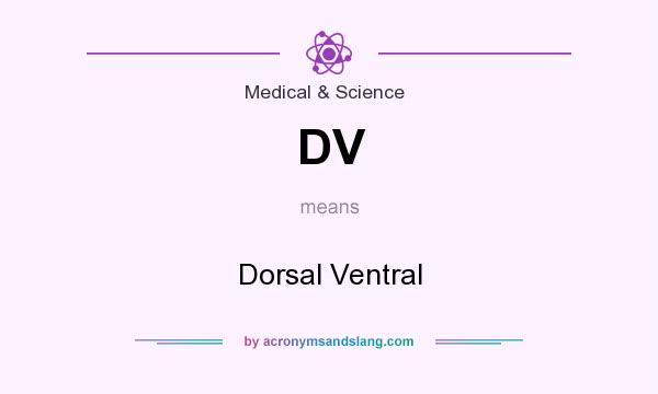 What does DV mean? It stands for Dorsal Ventral