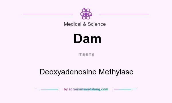 What does Dam mean? It stands for Deoxyadenosine Methylase
