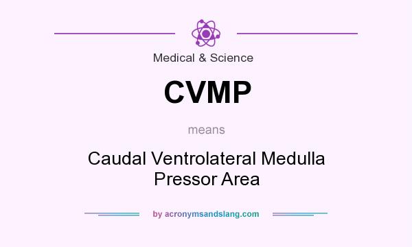What does CVMP mean? It stands for Caudal Ventrolateral Medulla Pressor Area