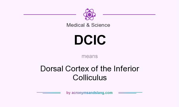 What does DCIC mean? It stands for Dorsal Cortex of the Inferior Colliculus