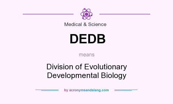 What does DEDB mean? It stands for Division of Evolutionary Developmental Biology