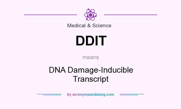 What does DDIT mean? It stands for DNA Damage-Inducible Transcript