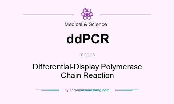 What does ddPCR mean? It stands for Differential-Display Polymerase Chain Reaction