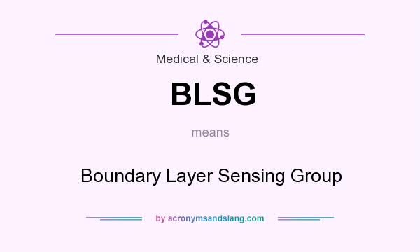 What does BLSG mean? It stands for Boundary Layer Sensing Group
