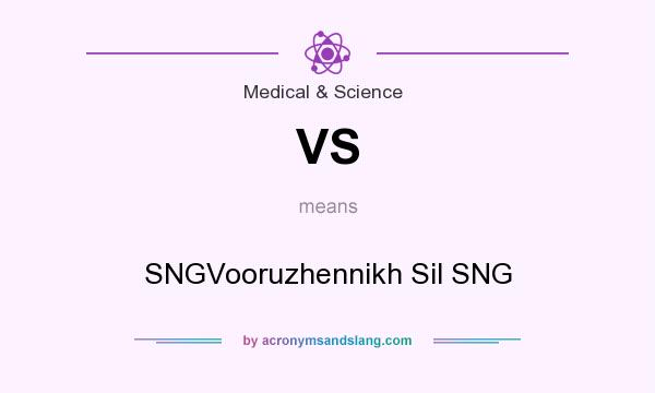 What does VS mean? It stands for SNGVooruzhennikh Sil SNG