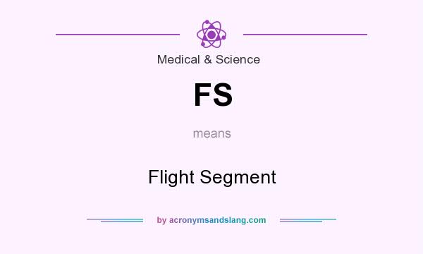 What does FS mean? It stands for Flight Segment
