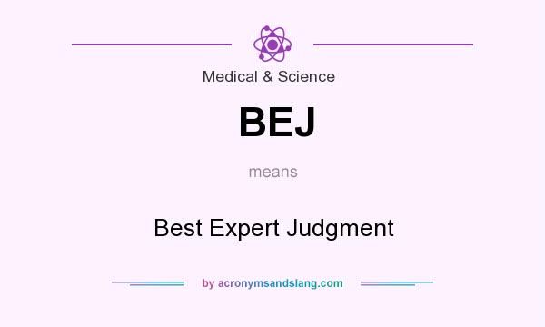 What does BEJ mean? It stands for Best Expert Judgment
