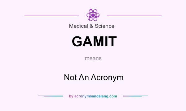 What does GAMIT mean? It stands for Not An Acronym