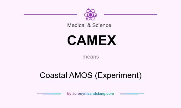 What does CAMEX mean? It stands for Coastal AMOS (Experiment)