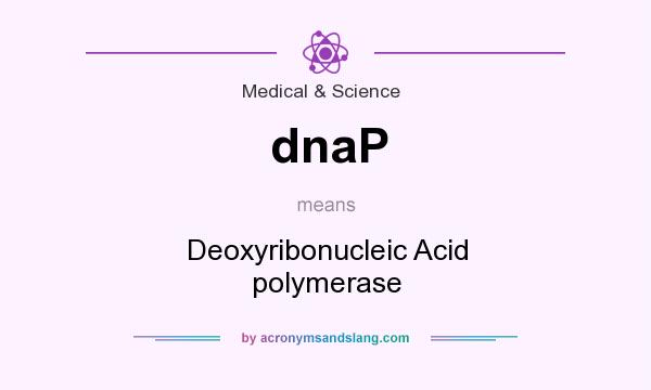 What does dnaP mean? It stands for Deoxyribonucleic Acid polymerase