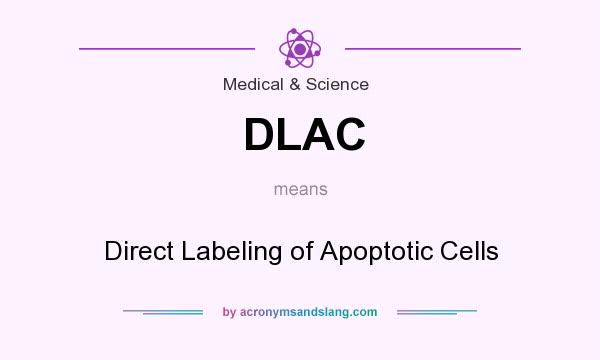 What does DLAC mean? It stands for Direct Labeling of Apoptotic Cells