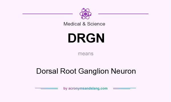 What does DRGN mean? It stands for Dorsal Root Ganglion Neuron