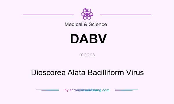 What does DABV mean? It stands for Dioscorea Alata Bacilliform Virus