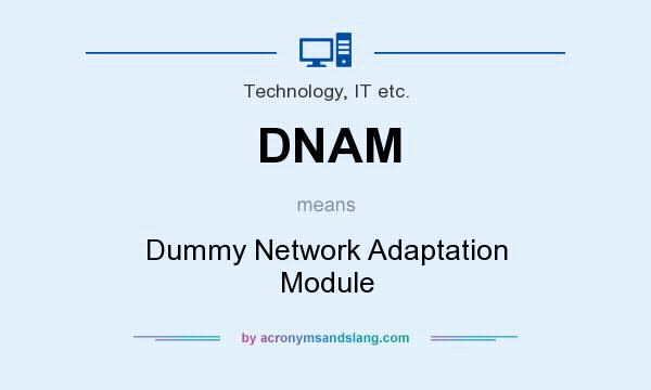What does DNAM mean? It stands for Dummy Network Adaptation Module