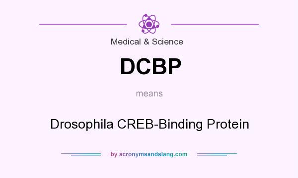 What does DCBP mean? It stands for Drosophila CREB-Binding Protein