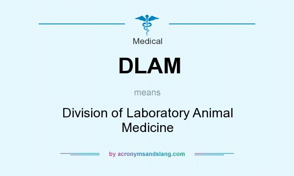 What does DLAM mean? It stands for Division of Laboratory Animal Medicine